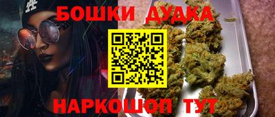сатива Беслан