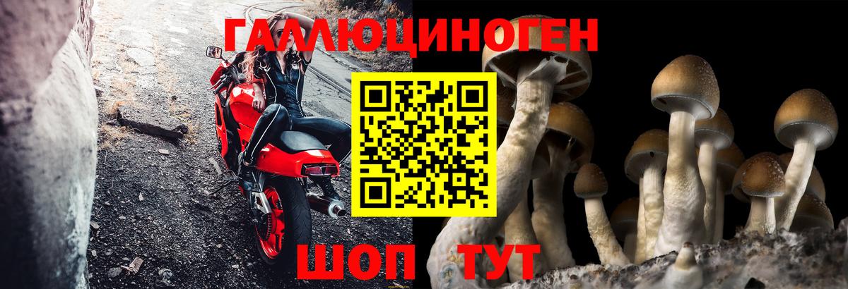 наркошоп  Вход с VPN  Борзя  Галлюциногенные грибы GOLDEN TEACHER 